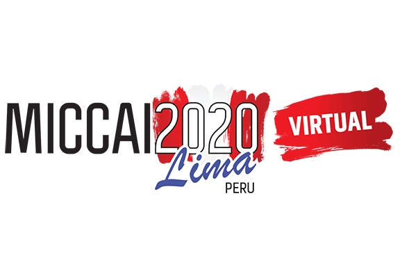 Teaser image to MCML at MICCAI 2020