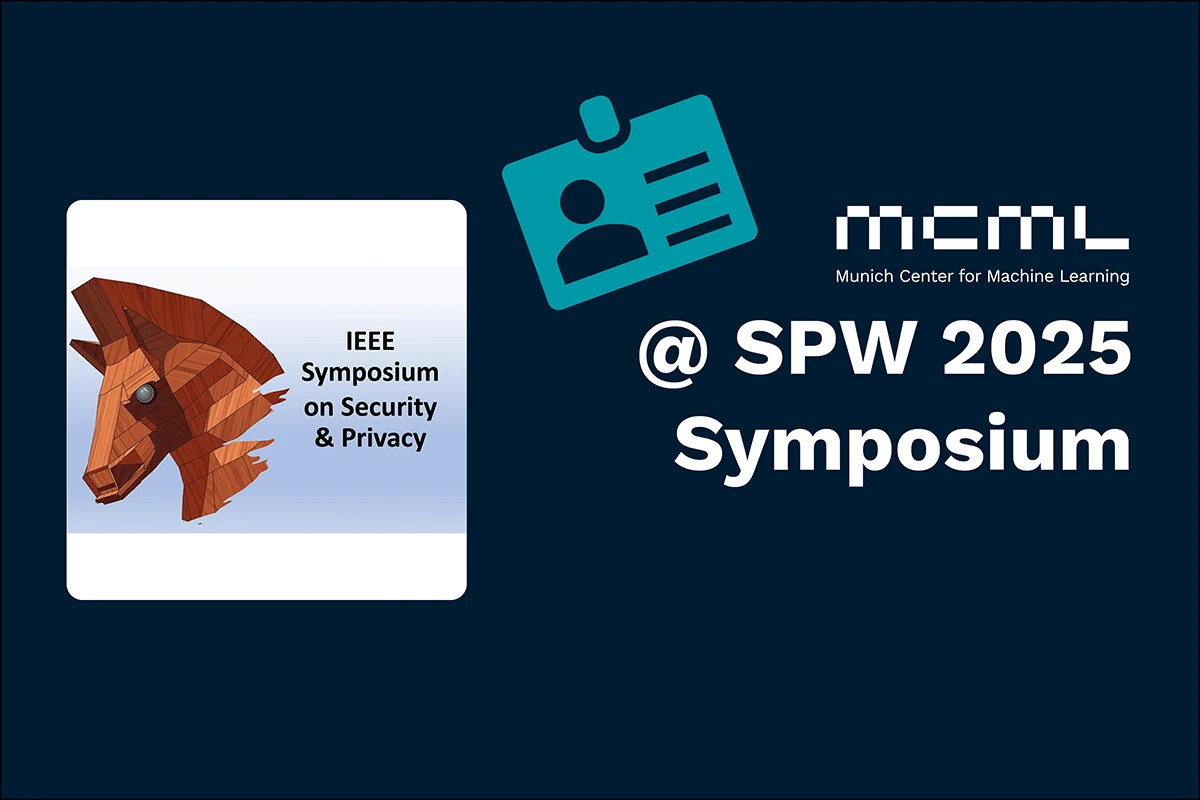 Teaser image to MCML at SPW 2025