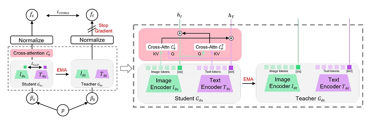 An overview of COSMOS