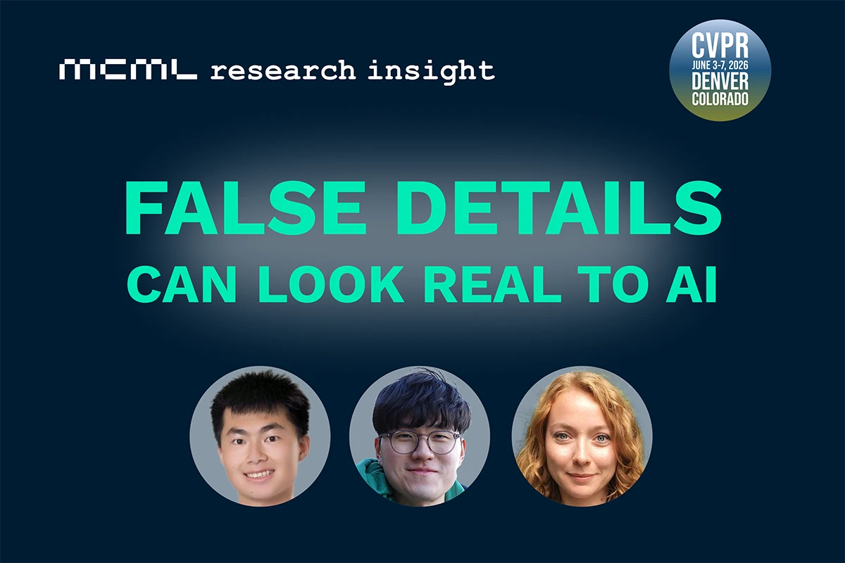 Link to When Vision AI Hallucinates Details