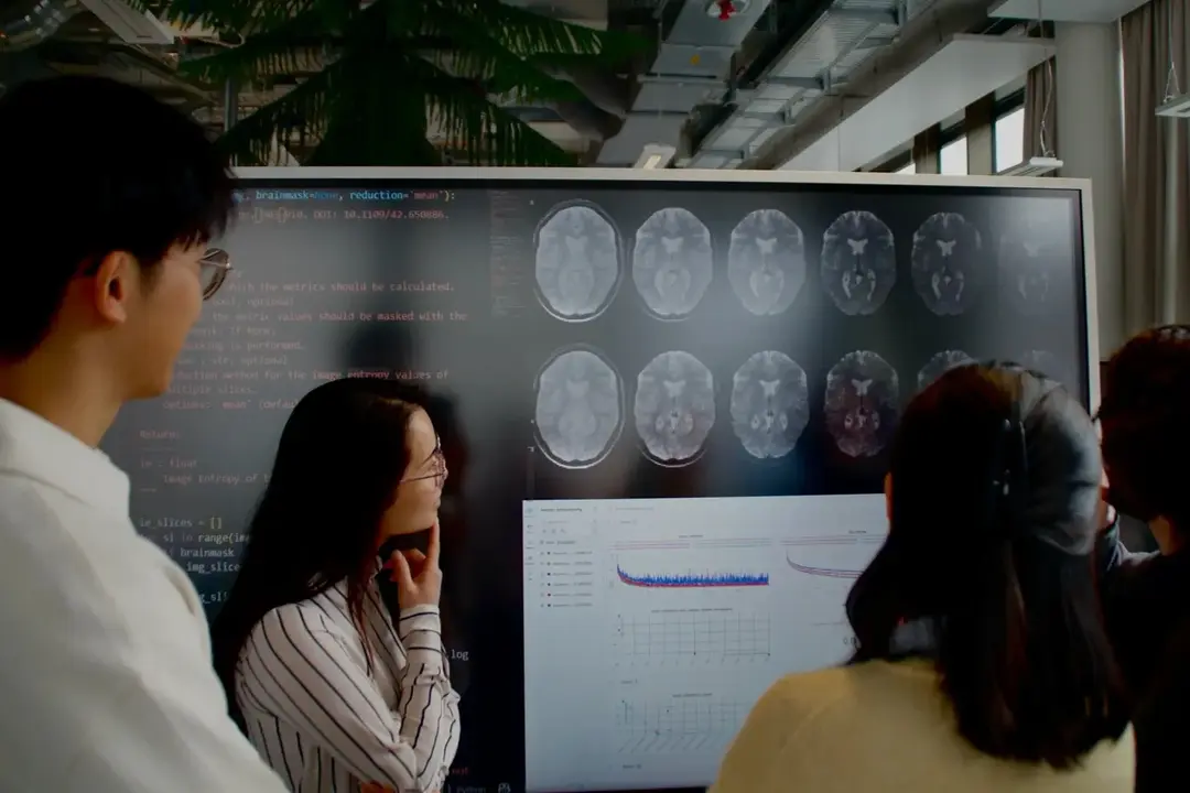 Students analyse medical imaging data