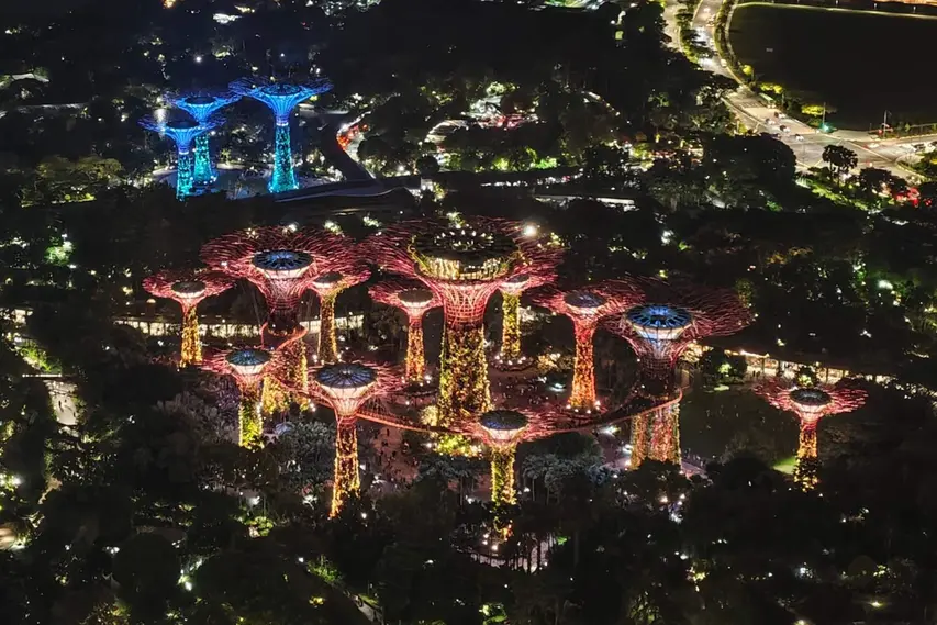 A view of Singapore’s night skyline and the Supertrees at Gardens by the Bay.